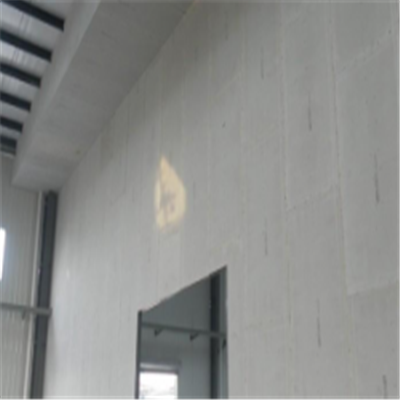 如东新型建筑材料掺多种工业废渣的ALC|ACC|FPS模块板材轻质隔墙板